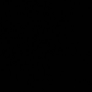 Meet your Posher, Alexzia